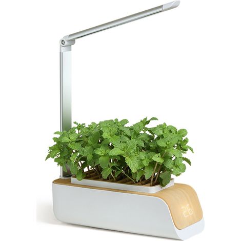 Système de culture hydroponique intelligent avec lampe de croissance pour herbes et légumes (1/5)