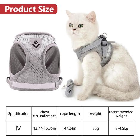 Harnais pour chat et petit chien avec laisse réglable en maille respirante (1/5)