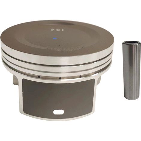 The pistons for YBR250 motorcycles are compatible with the YAMAHA YBR250 and XTZ250 models with a 74 mm bore (2007-2009).--DTEKGAZ