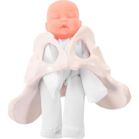 Modèle de bassin féminin avec poupée - Modèle de démonstration d'accouchement - Bassin flexible avec position du fœtus - Outil pédagogique pour la sage-femme spécialisée en (1/5)