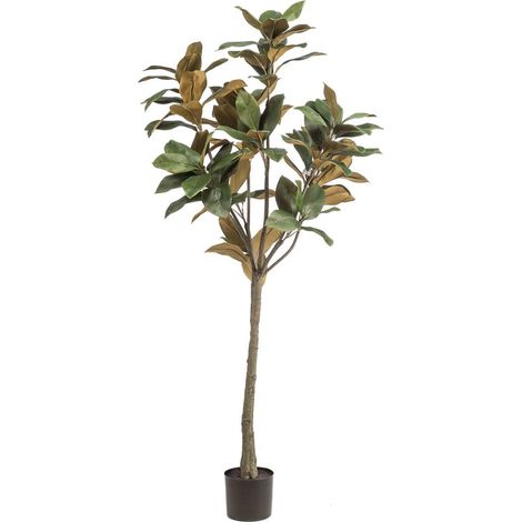 Magnolia Artificiel Denudata Arbre à Fleurs Blanches Décoration Intérieur 150 cm - PANGIVO (1/3)