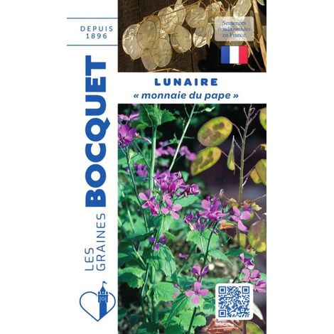 Lunaire Monnaie du Pape – Graines de fleurs violettes – Semis d’avril à juin – Exposition peu ensoleillée – Pour bouquets secs d’hiver – Graines Bocquet (1/2)