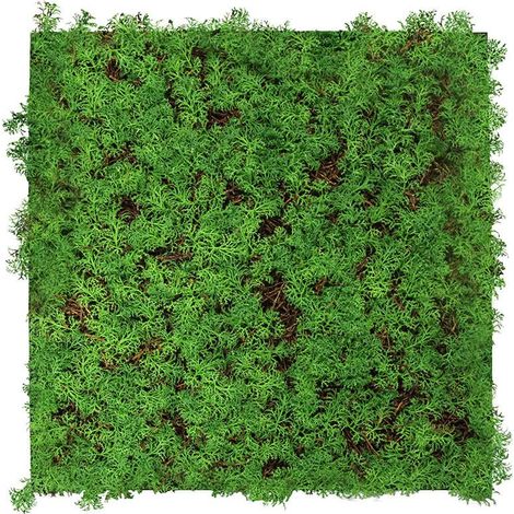 JANGAL Modular Wall Akustik 3D Paneele 520 x 520 mm Thuja Tea Tree Kunst Pflanzwand Naturfaser (1/5)