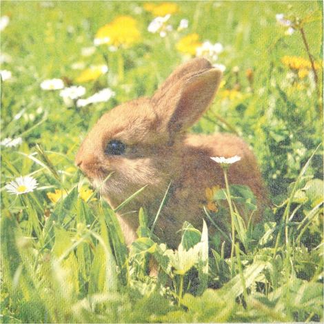 Lot de 20 serviettes en papier 33 x 33 cm Lapin (1/2)