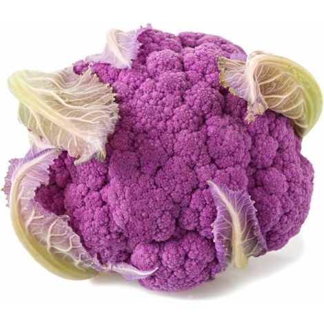 Semi di cavolfiore violetto di Sicilia di marzo piante per orto e giardino