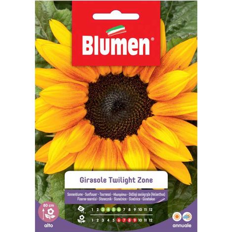 SEMI GIRASOLE TWILIGHT ZONE BLUMEN
