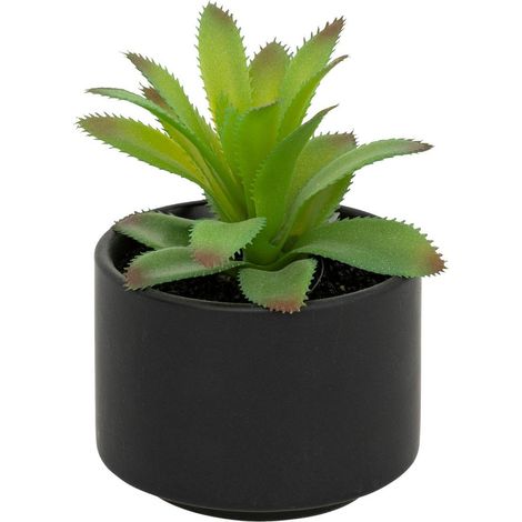 Pianta grassa in vaso H13 - Modello a nero - Atmosphera créateur d'intérieur (1/5)