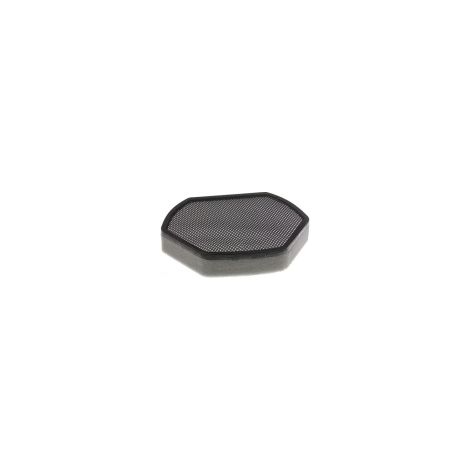 Filtre mousse pour Aspirateur BOSCH 12012937