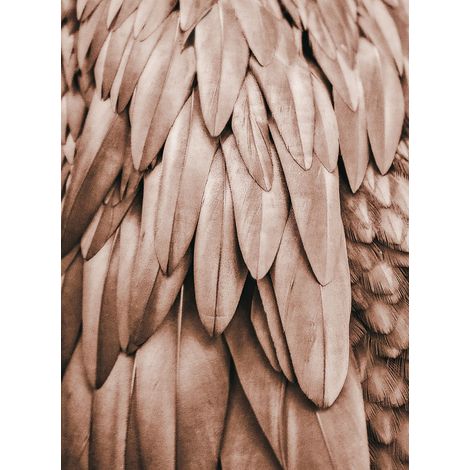 Papier peint panoramique plumes marron Tapisserie panoramique beige oiseaux Papiers peints panoramiques parfait pour salon (1/2)