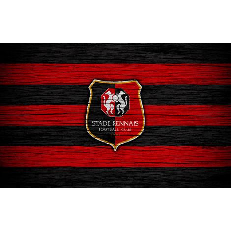 Papier peint panoramique Foot / Football - Stade Rennais - 130 cm x 81 cm (1/2)