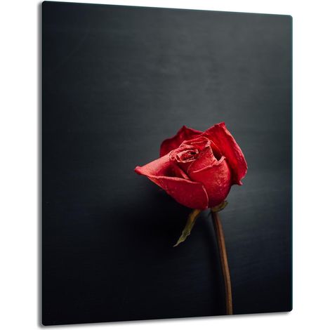 Glasplatte, Tischplatte, 40x52, Rose (1/5)