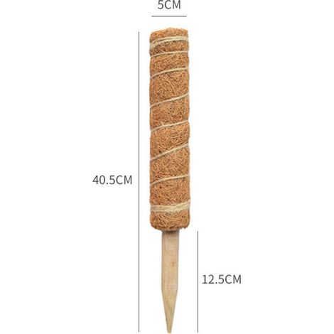 Tuteur extensible en mousse en 4 parties - Support pour plantes grimpantes Monstera et Pothos - Support de jardin 5 x 40 cm - Utilisation intérieure et extérieure (1/3)