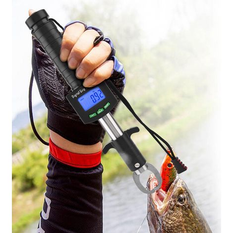 Pince à peser électronique pour poissons en acier inoxydable avec balance intégrée