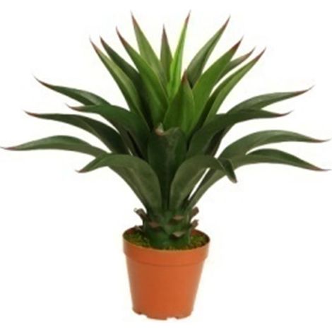 60cm Deluxe Yukka Artificial