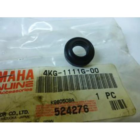 Original-Schrauben für Yamaha 600 R6 Motorrad nach 2004 4 kg-1111