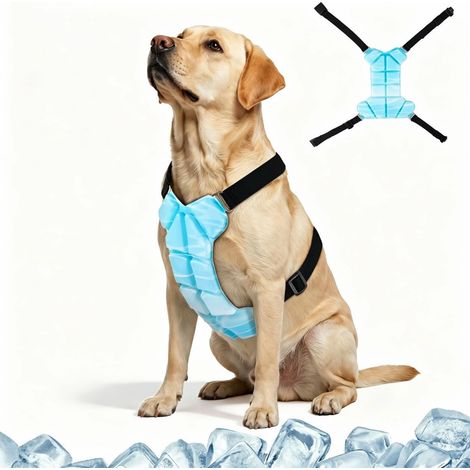 Gilet rafraîchissant, 30% plus léger que l'eau, équipement léger à froid sec (prévient le sur-refroidissement), corde élastique réglable, Intérieur/Extérieur, Utilisation par temps chaud (1/4)