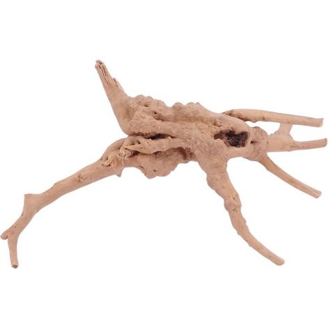 M Moorkienwurzel Nr.4384 Holz Deko Aquascaping