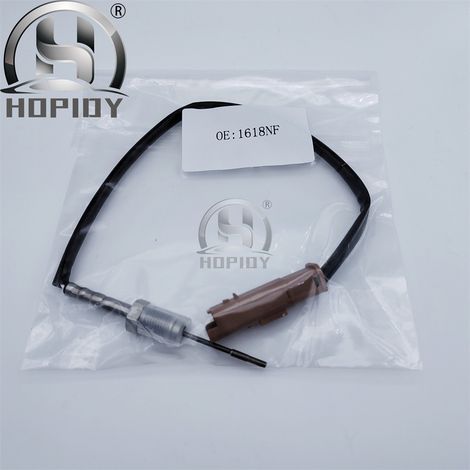 Der Abgastemperatursensor H105 ist für Citroën Peugeot 1618NF 9665090280 geeignet. (1/3)