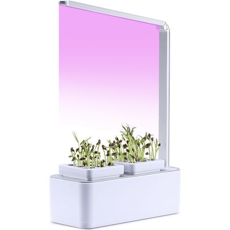 LIFCAUSAL - Kit Débutant Hydroponique avec Lampe LED pour Plantes Système de Culture Intérieur pour Herbes, 2 Pots Germinateurs et Accessoires de Jardinage Maison (1/5)