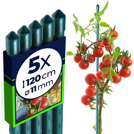 Filiyano-Tuteurs pour plants de tomates KADAX, 120 cm, enduits, 11 mm, lot de 5 (1/5)