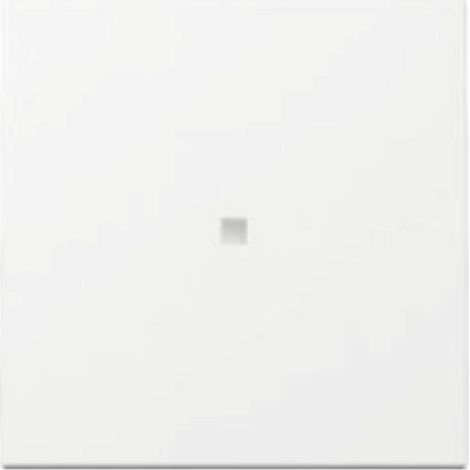 GIRA Wippe mit Kontrollfenster, 329003, System 55, weiß (1/5)