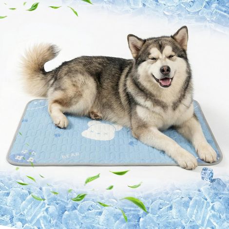 Kühlmatte für Hunde und Katzen, 50 x 70 cm, maschinenwaschbar – Design mit blauem Bären, selbstkühlende Matratze aus Eisgewebe und Latexfüllung (1/5)
