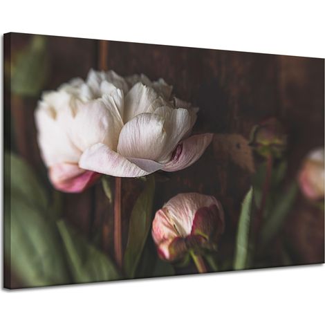 Lienzo impreso Botánica Flor Peonías 120x80 cm Ramo de flores Flora