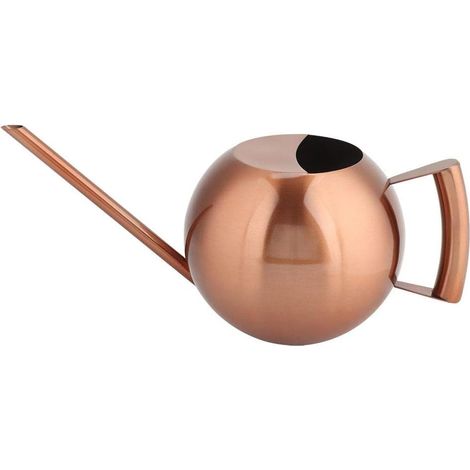 1000 ML en Acier Inoxydable arrosoir Peut saupoudrer Le Pot à Longue Bouche Jardin Fleurs Plantes Outil d'arrosage(2) (1/5)