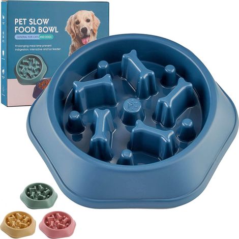 Petit bol pour chien à alimentation lente (bleu, os)