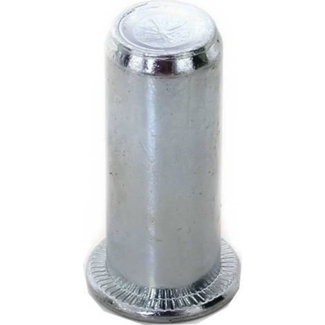 200 Ecrous à Sertir Borgnes Tête Plate GOFIX M10 x 29 mm - Acier - D-Work