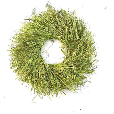 40 cm Graskranz, Herbstlicher Türkranz, Handgefertigt, Perfekte Dekoration für Zuhause, Party, Landhausstil, Grün (1/2)