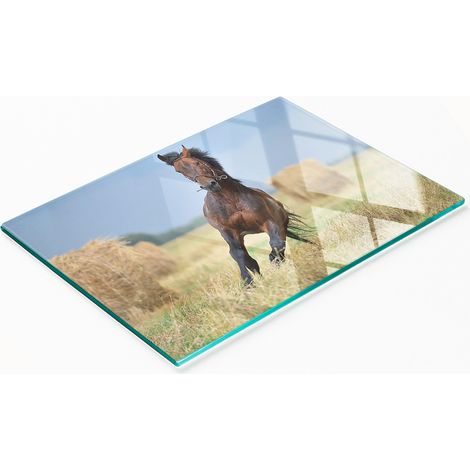 Piatto decorativo multifunzionale in vetro per cucina con cavallo al galoppo, 80x52 cm (1/5)