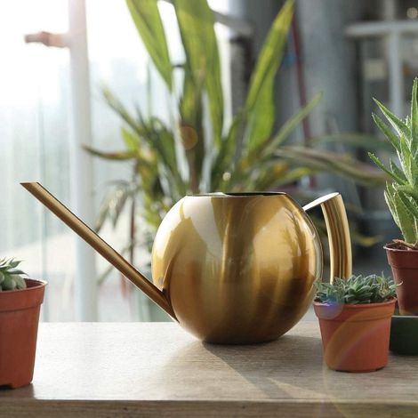Stainless Steel Watering Can, Watering Pot for Long-Lasting Plants (1/5)