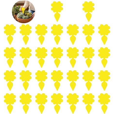 Pièges Anti-Moucherons pour Plantes d’Intérieur - Pack de 30 Pièges Jaunes Adhésifs Non-Toxiques - Contre Les Moucherons, Mouches de Terreau et Pucerons - Protection Durable Jusqu’à 3 Mois (1/5)