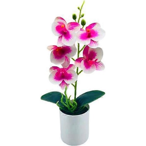 Bonsaï artificiel élégant et facile d'entretien, 5 têtes, magnifiques orchidées artificielles, articles de fêteviolet, blanc (1/5)