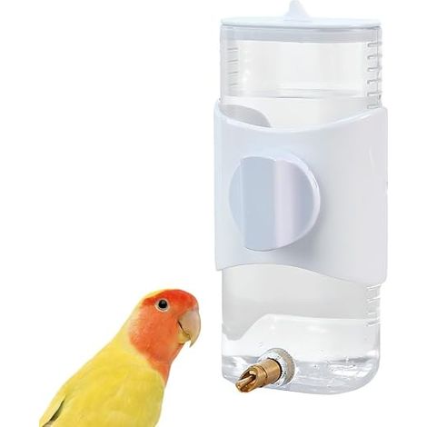 Mangeoire a Eau pour Oiseaux,Bouteille d'eau Automatique de Bec Verseur Allongé pour Perroquets,Perruches,Calopsittes,Pinsons,Inséparables,Canaris