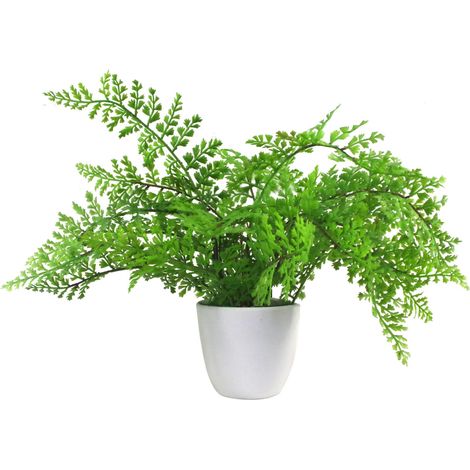 30cm Artificial Potted Royal Fern (1/4)