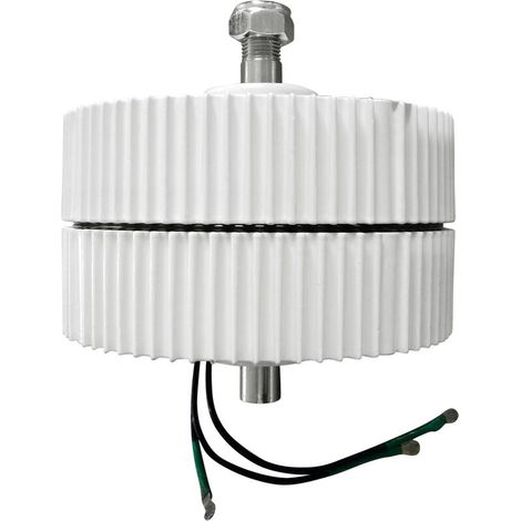 VURAHOME - 400W 12V AC Triphasé Générateur à Aimant Permanent Haute Efficacité Basse Vitesse Mini Éolienne 950RPM DIY Éolienne AC Alternateur (1/5)