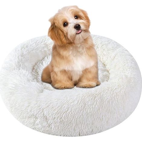 QAZQA Lit de Luxe pour Animaux de Compagnie, pour Chats et Chiens de Petite et Moyenne Taille, Facile à Nettoyer, lit pour Animaux de Compagnie en Forme de Doughnut(50x50cm Marron) (1/4)