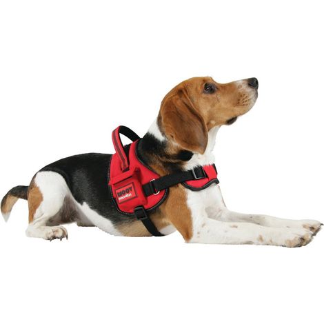ZOLUX Hundegeschirr MOOV - rot - XL