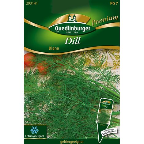 Quedlinburger Saatgut – Aneth « Diana » – Graines d'herbes aromatiques, variété riche en feuilles vert foncé, hauteur 120 cm en pleine terre (1/2)