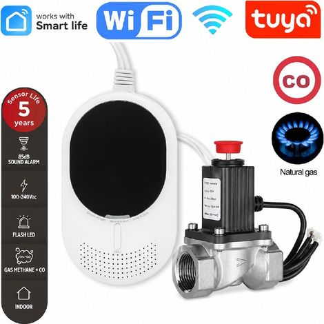 Tuya Rilevatore Combinato di Gas e Monossido di Carbonio Smart Wi-Fi con Elettrovalvola 3/4" (DN20) (1/5)