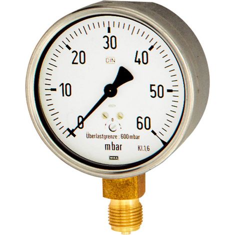 Riegler Kapselfedermanometer, Stahl, G 1/4 radial unten, 0-60 mbar, Ø 63 (1/2)