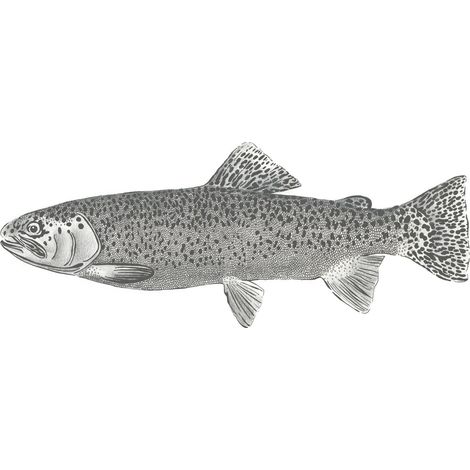 papier peint panoramique poisson blanc et noir - ESTAhome (1/4)