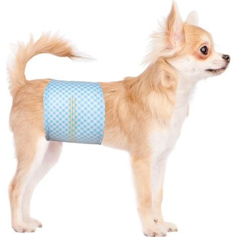 Lot de 20 Couches jetables pour Chien mâle, Taille L, Couches Douces pour Chiens mâles, Super Absorbantes et Anti-fuites avec Indicateur d'humidité (1/5)