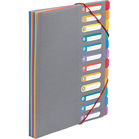 Trieur Document A4 avec 12 Compartiments - Organisateur de bureau extensible - Porte document A4 avec index - Fermeture par élastique - Rainbow Touch Gris (1/4)