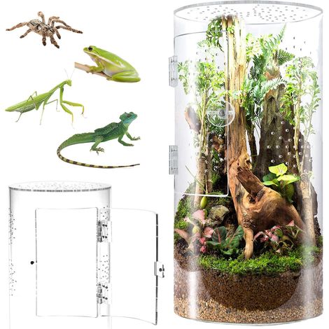 Terrarium Cylindrique, Vivarium Transparent à 360° - en Acrylique, Boîte d'Élevage pour Araignée (Terrarium) (1/5)