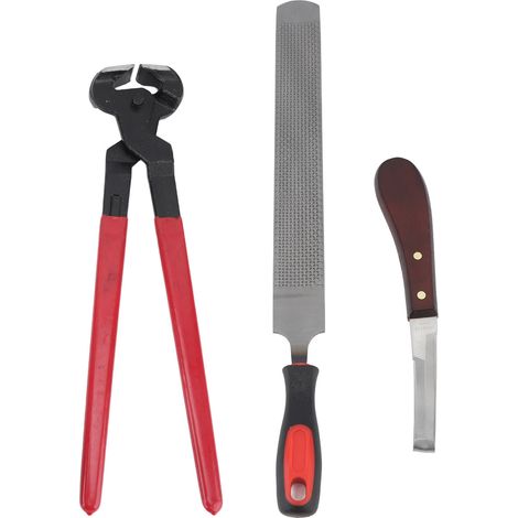 Kit de réparation de sabots, lime double face en acier, outil de coupe pour sabots pour chevaux, bovins, ovins et ânes (1/5)