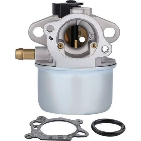 Vergaser kompatibel mit Briggs & Stratton Motoren 799868 498170 497586 498254 497314 (1/5)