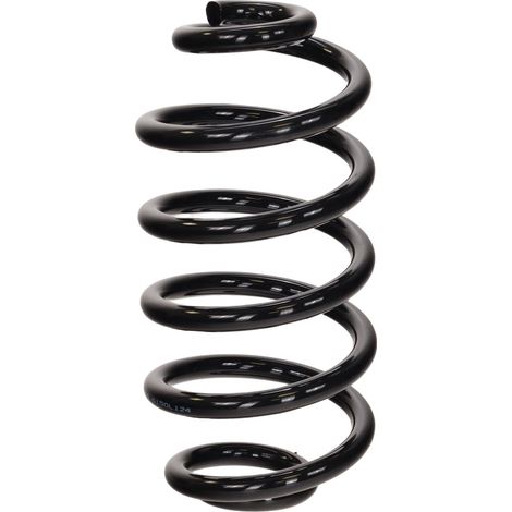 Suspension arrière à ressort rapide FT01866 (1/4)